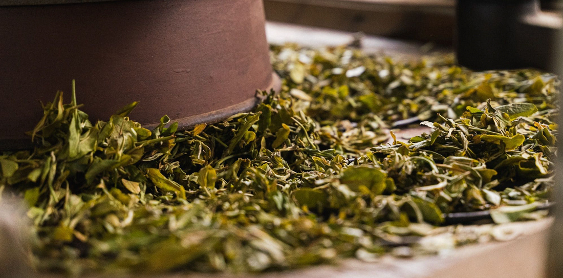 Oxidation vs Fermentation in Chinese Tea