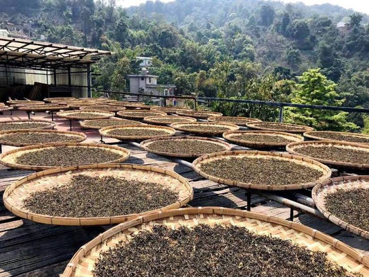 What is the technology for producing Ripe Puer?