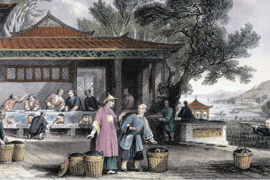 Chinese Tea Production Today and in Ancient Times