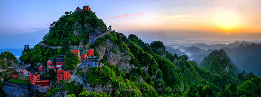 Wudang Daoist Tea - A Cup of Harmony