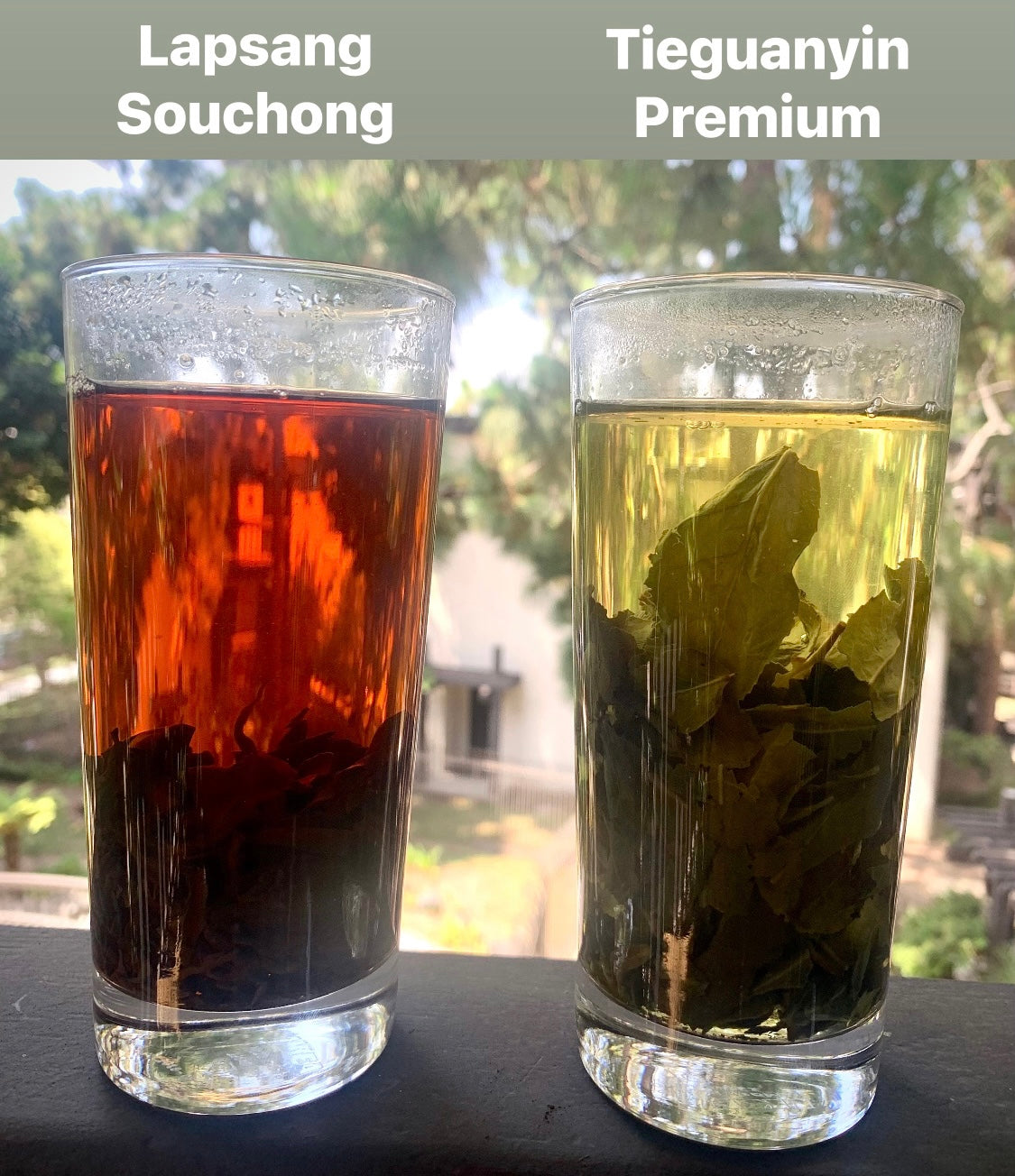 Tieguanyin Oolong Tea - Premium