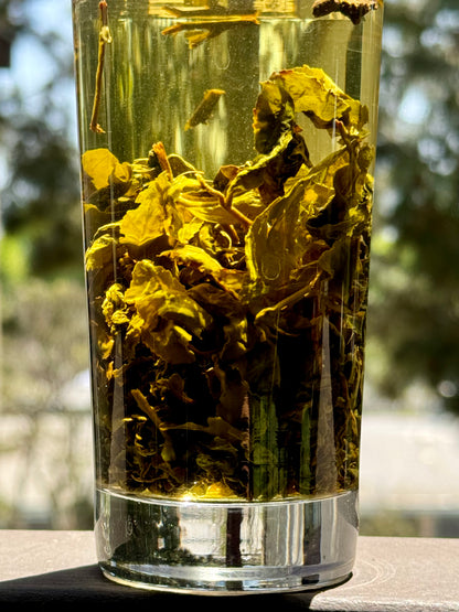 Lishan Premium Oolong Tea