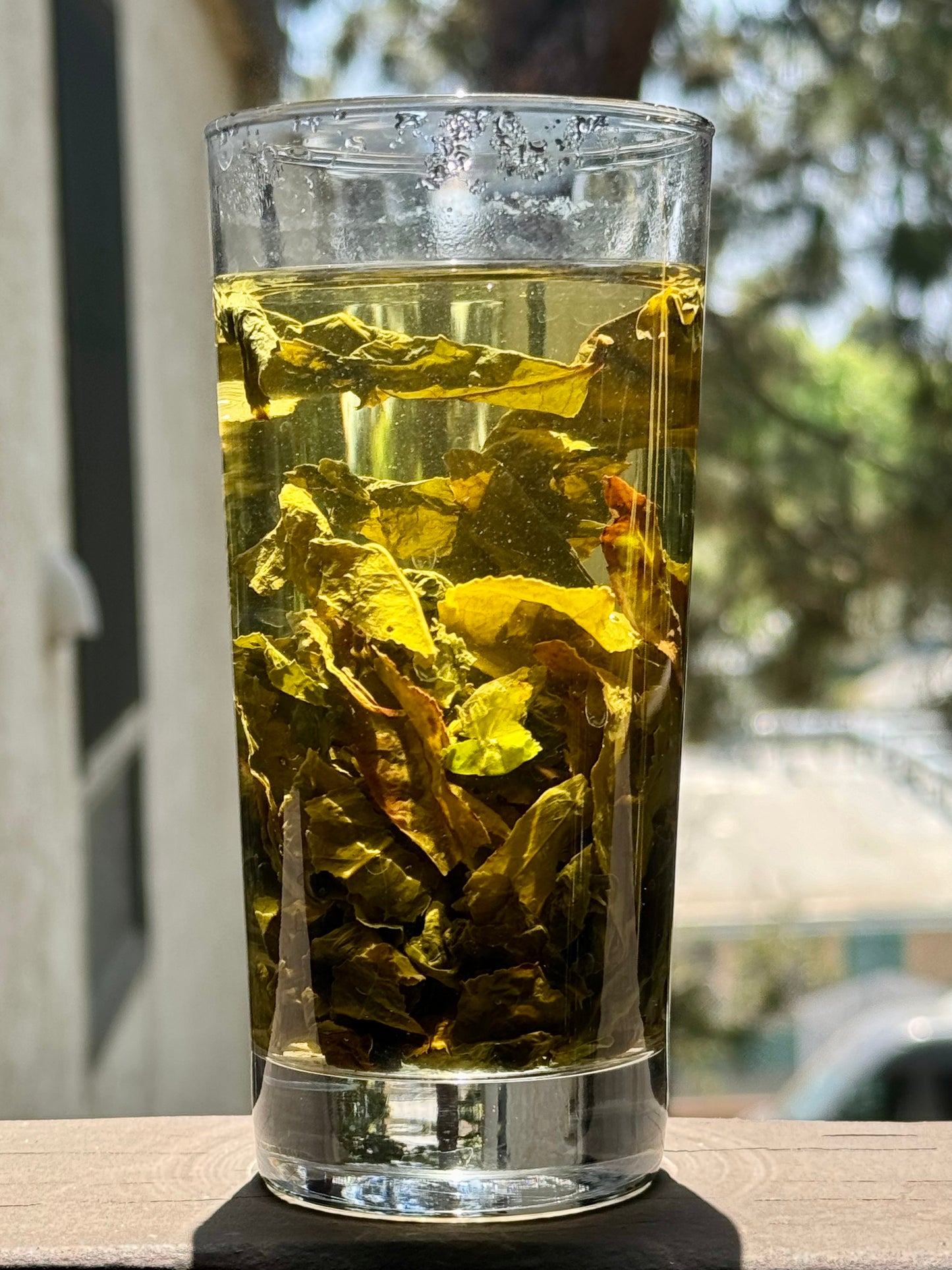 Huan Jing Gui / Golden Osmanthus Oolong Tea