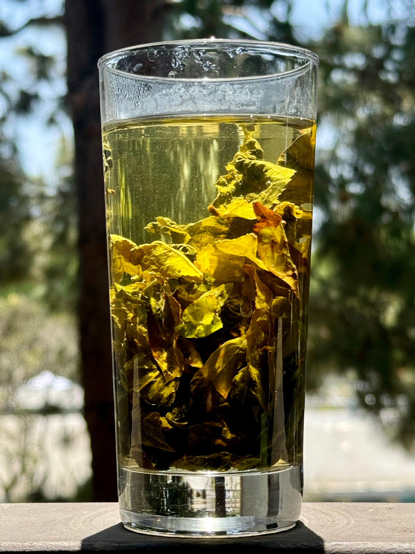 Huan Jing Gui / Golden Osmanthus Oolong Tea