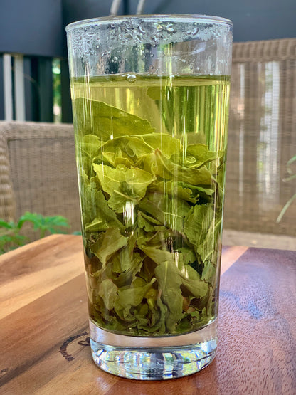 Tieguanyin Oolong Tea - Premium