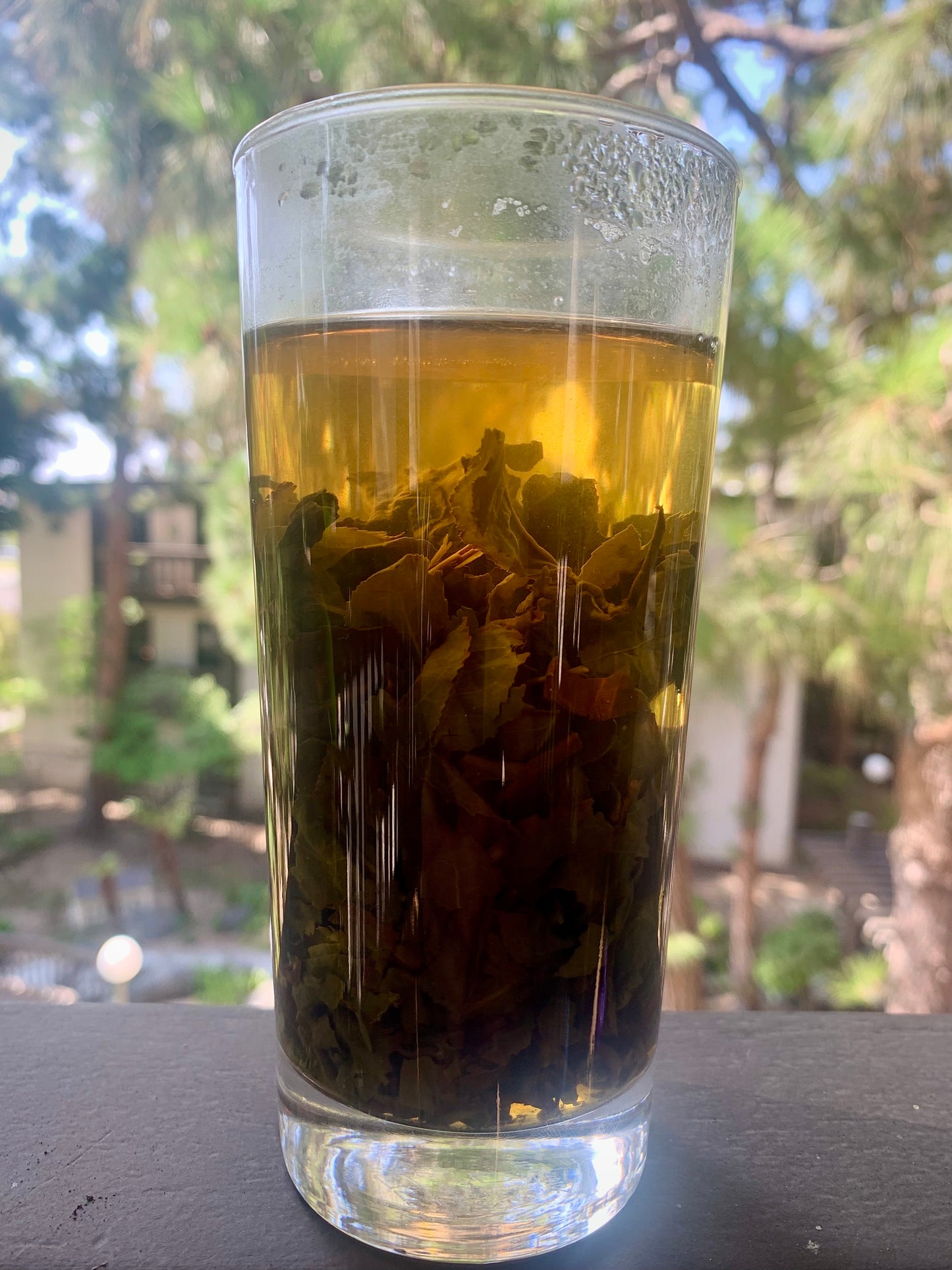 Dong Ding Premium Oolong Tea