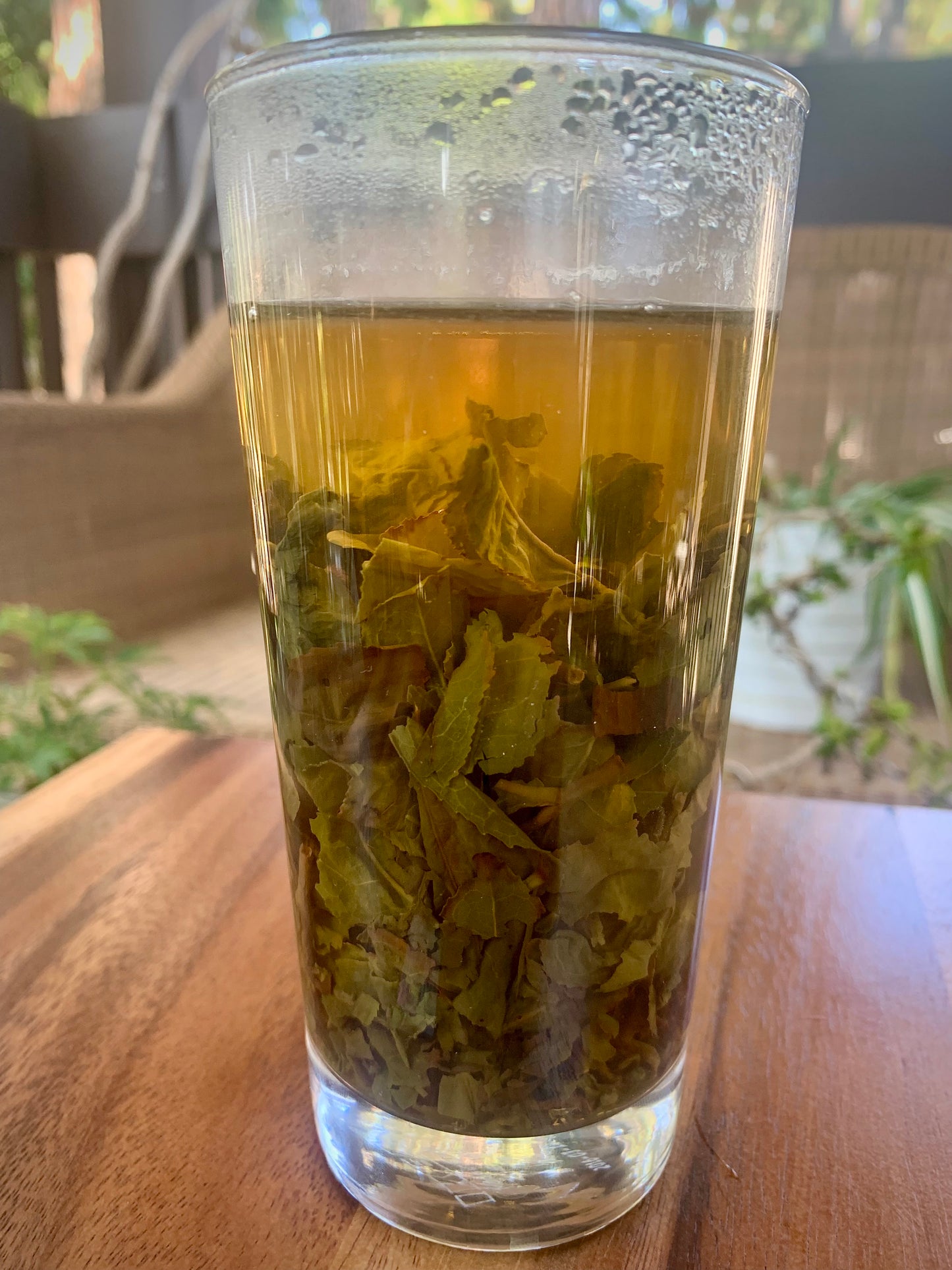 Dong Ding Premium Oolong Tea